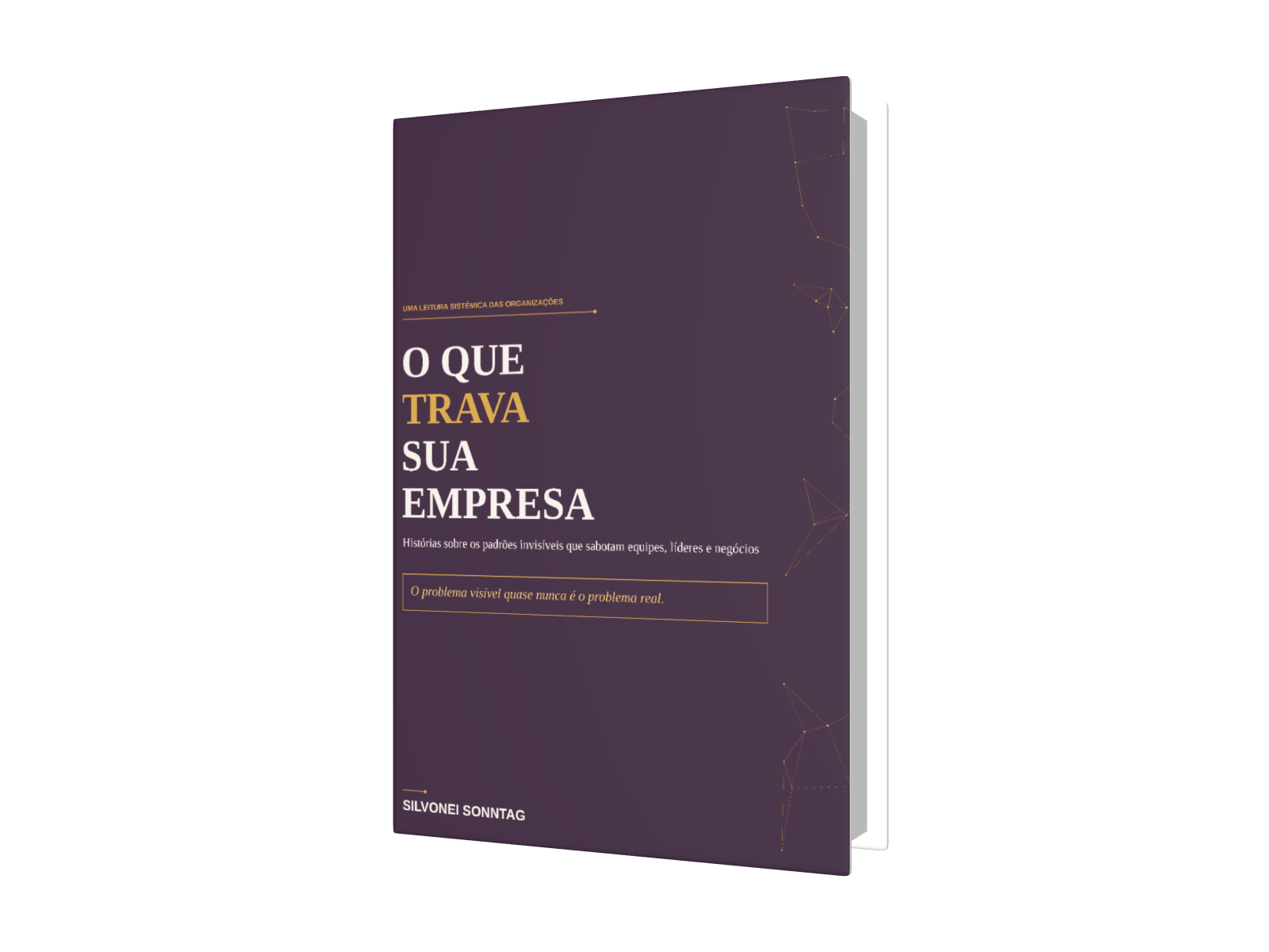Capa do livro O que trava sua empresa, de Silvonei Sonntag